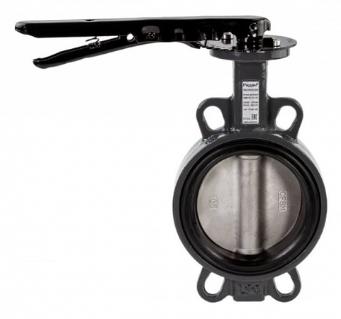 картинка Затвор дисковый поворотный ЗДМ 03.16.65, PN16, DN65, корпус GG25 082X4402R от магазина